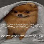 دانلود آهنگ یه آدم از هایده و محسن چاوشی “ترند هوش مصنوعی”